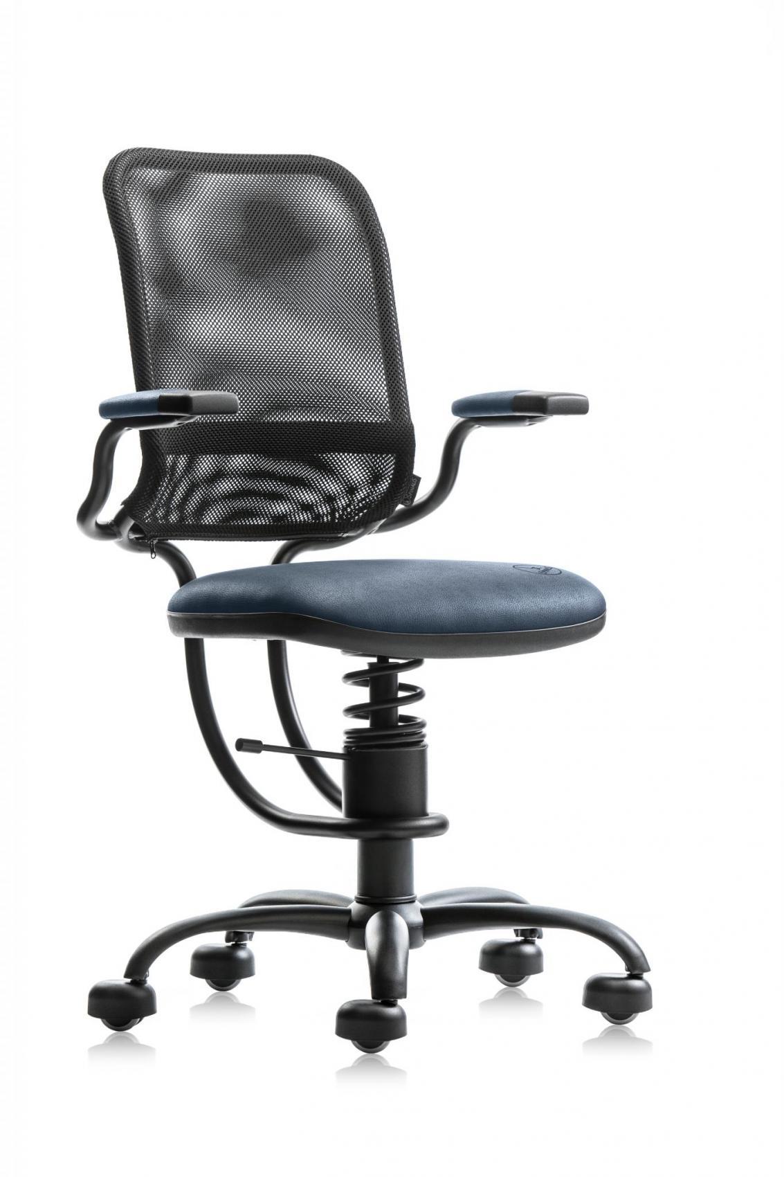 Spinalis Ergonomic Violetblauw
