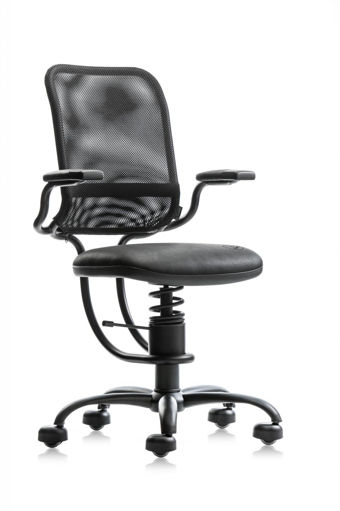 Spinalis Ergonomic zwart