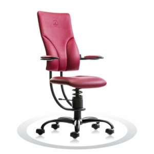 Spinalis Apollo balansstoel